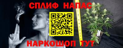 молекула духа Кинель
