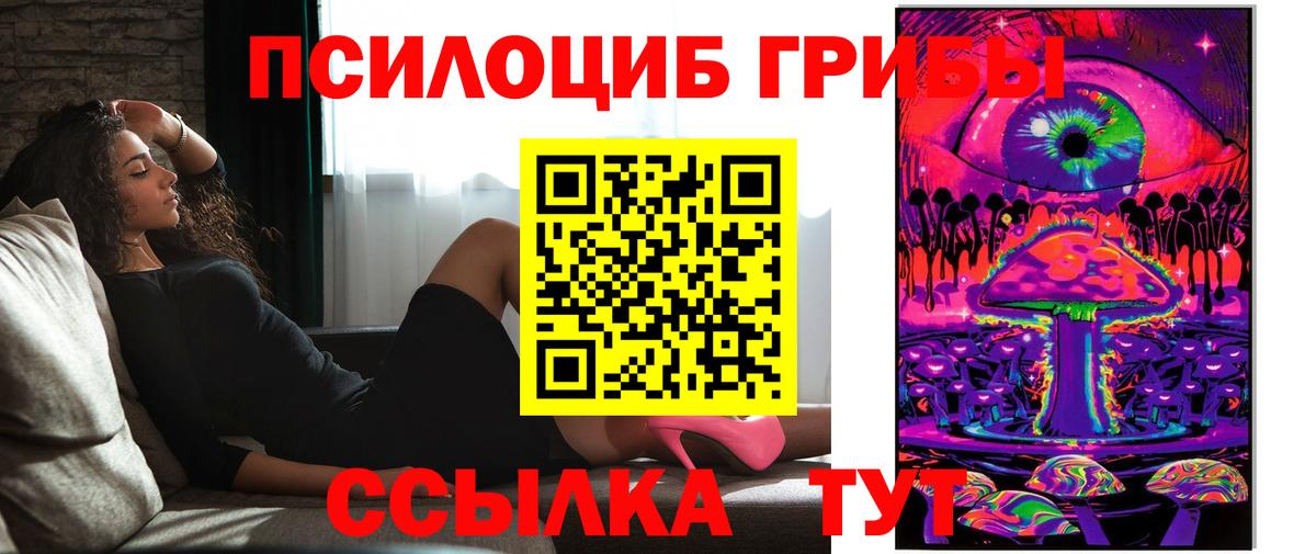 Губкин  Галлюциногенные грибы Cubensis  магазин    Вход с VPN 